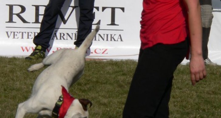 vroutek-smolikova2.jpg